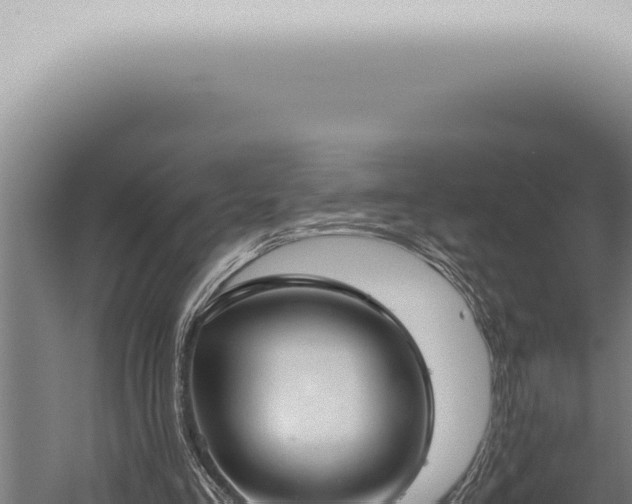 X0000059830293200510281805