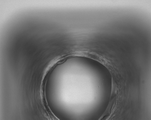 X0000059830294200510281805