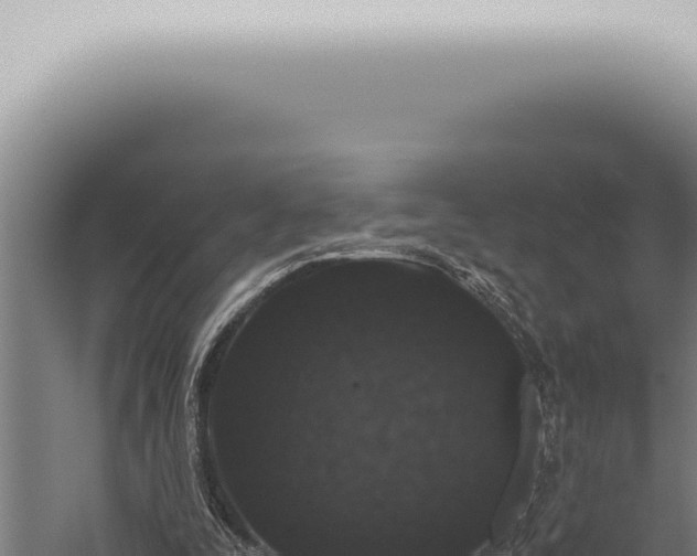 X0000059830295200510281805