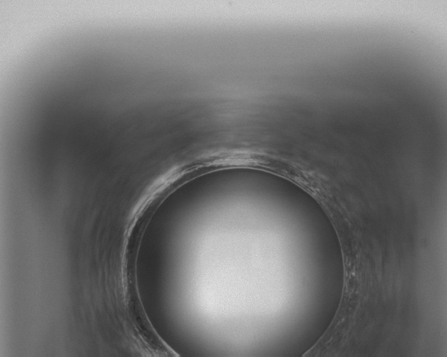 X0000059830296200510281805