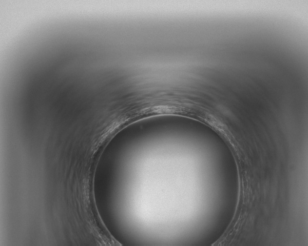 X0000059830297200510281805