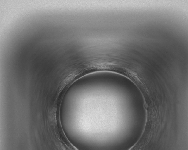 X0000059830299200510281805