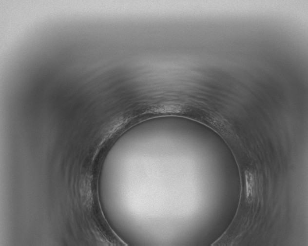 X0000059830300200510281805