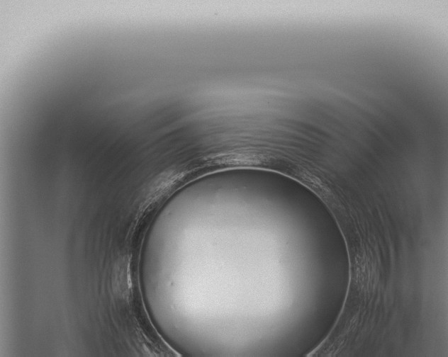 X0000059830302200510281805