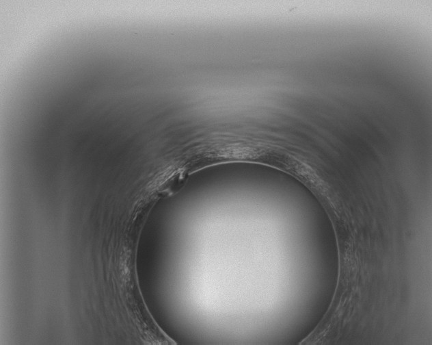 X0000059830305200510281805