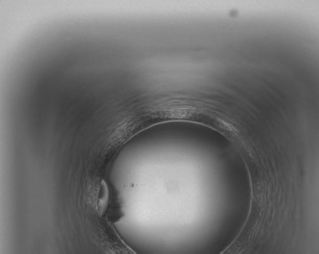 X0000059830307200510281805