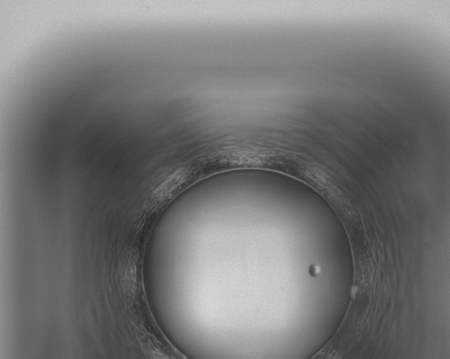 X0000059830309200510281805