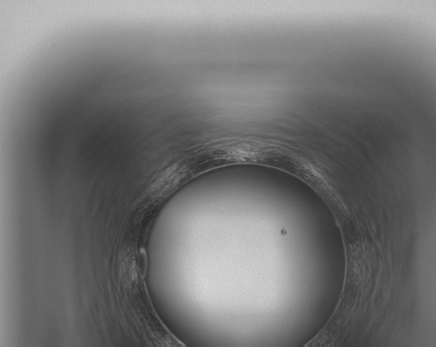 X0000059830313200510281804