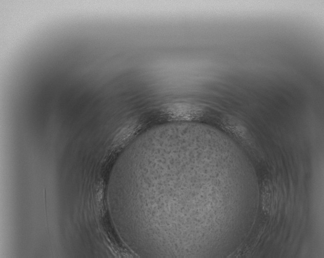 X0000059830314200510281804