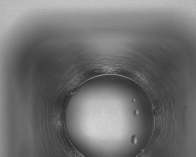 X0000059830317200510281804