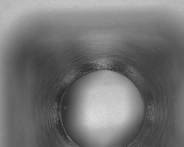 X0000059830318200510281804