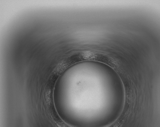 X0000059830319200510281804