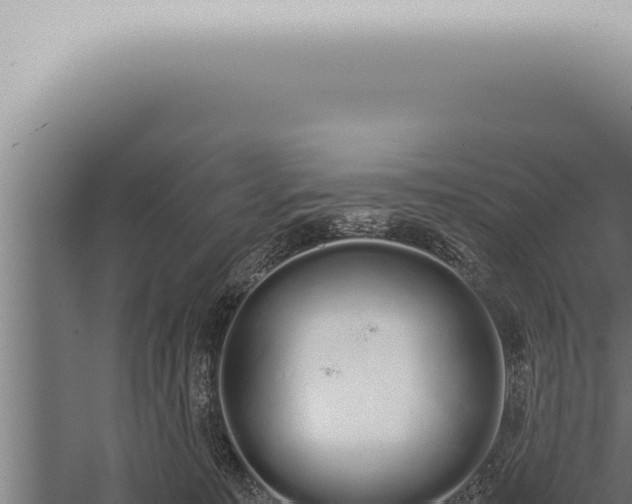 X0000059830323200510281804