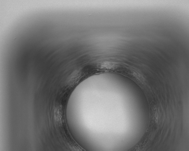 X0000059830328200510281804