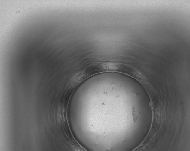 X0000059830330200510281804