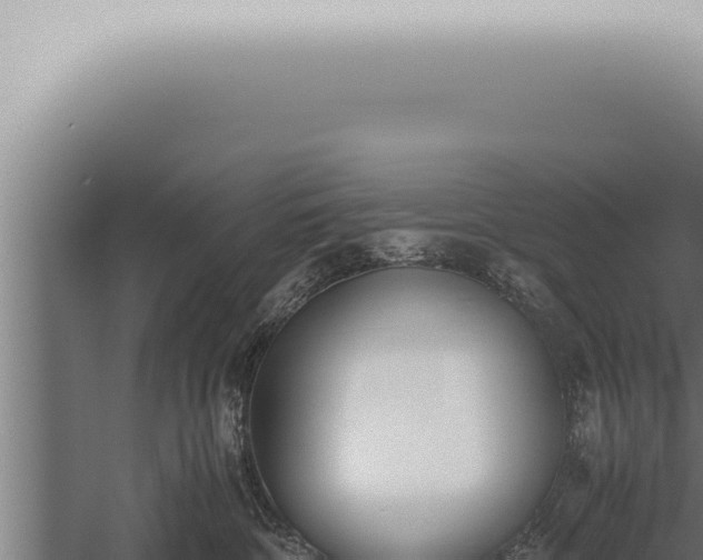 X0000059830332200510281804