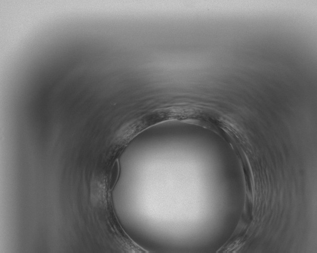 X0000059830333200510281804