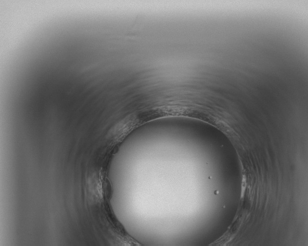 X0000059830334200510281804