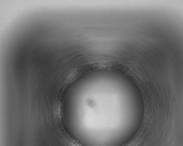 X0000059830336200510281804