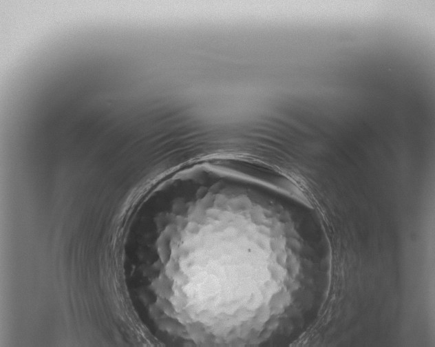 X0000059830337200510281803