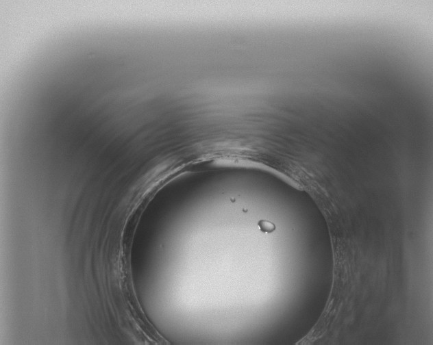 X0000059830338200510281803