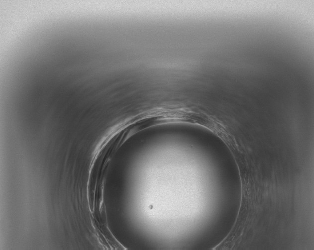 X0000059830340200510281803