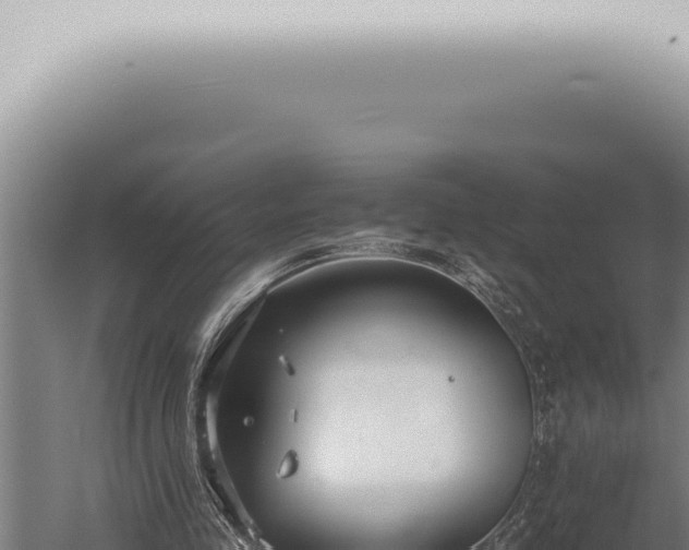 X0000059830341200510281803