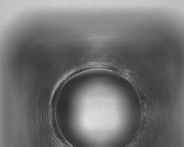 X0000059830342200510281803