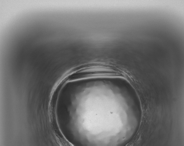 X0000059830343200510281803