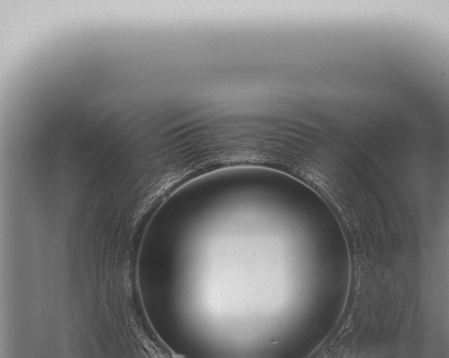 X0000059830345200510281803