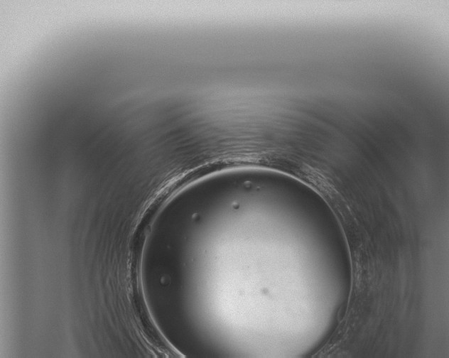 X0000059830346200510281803