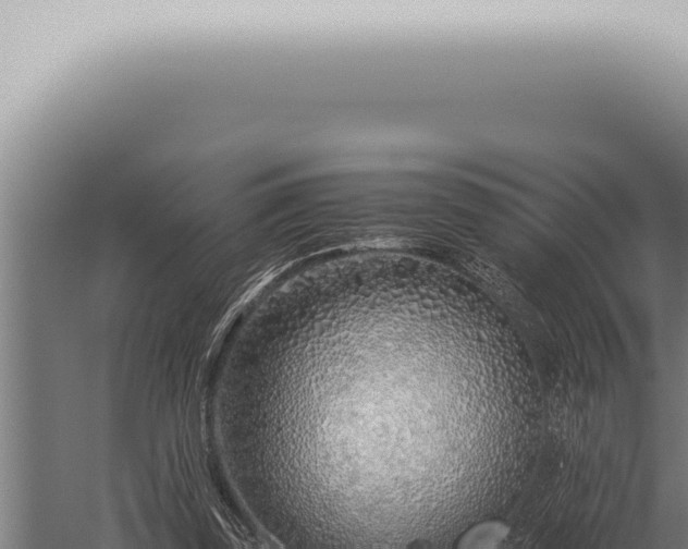 X0000059830347200510281803