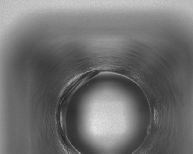 X0000059830348200510281803