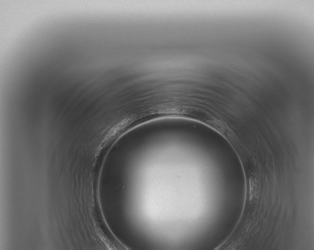 X0000059830349200510281803