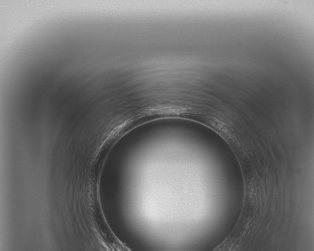 X0000059830352200510281803