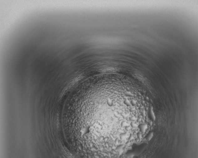 X0000059830353200510281803