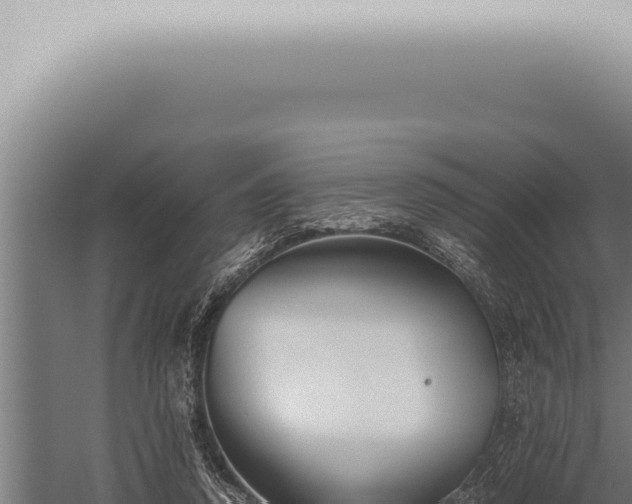 X0000059830354200510281804