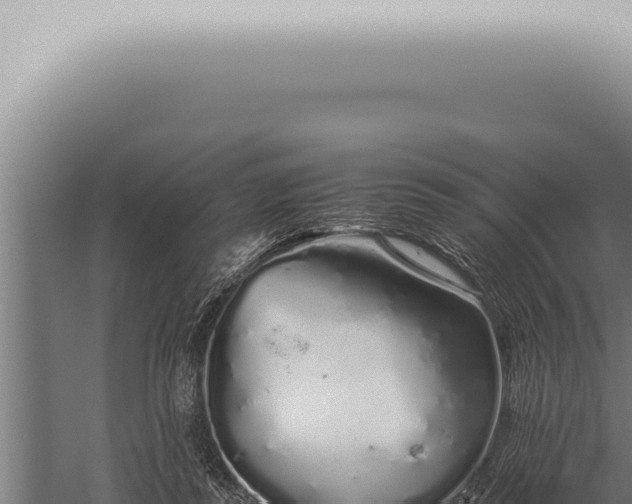 X0000059830355200510281804