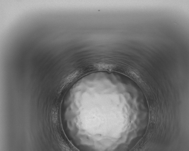 X0000059830357200510281804