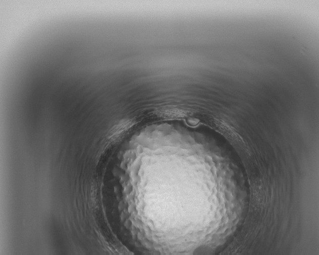 X0000059830359200510281804