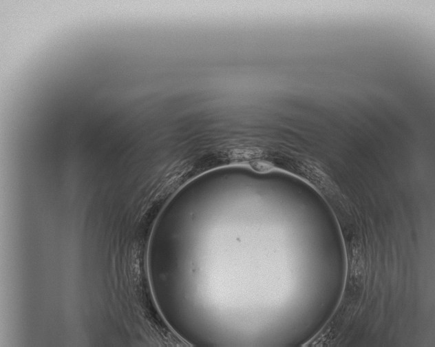 X0000059830363200510281804