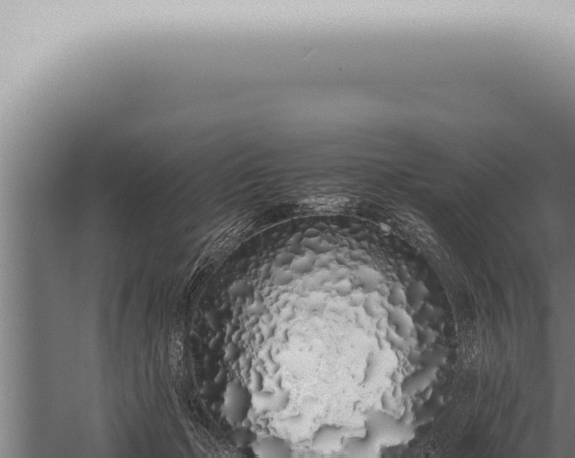 X0000059830365200510281804