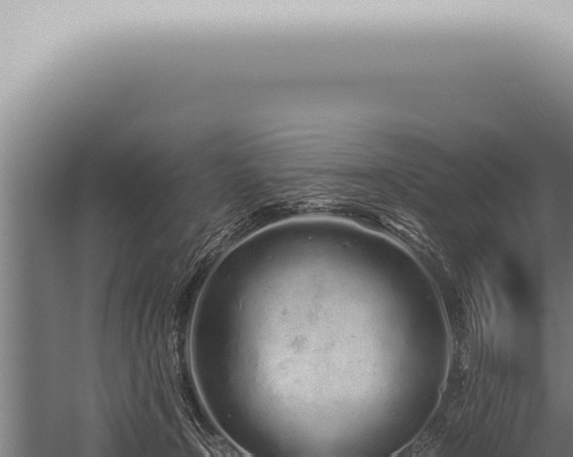 X0000059830366200510281804