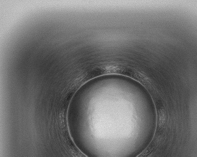 X0000059830369200510281804