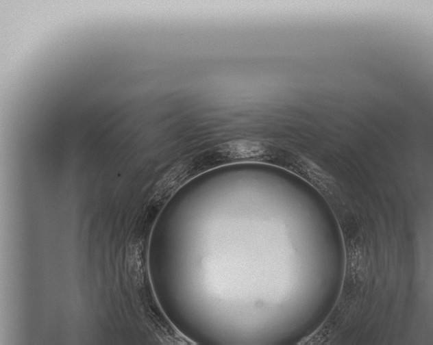 X0000059830373200510281804