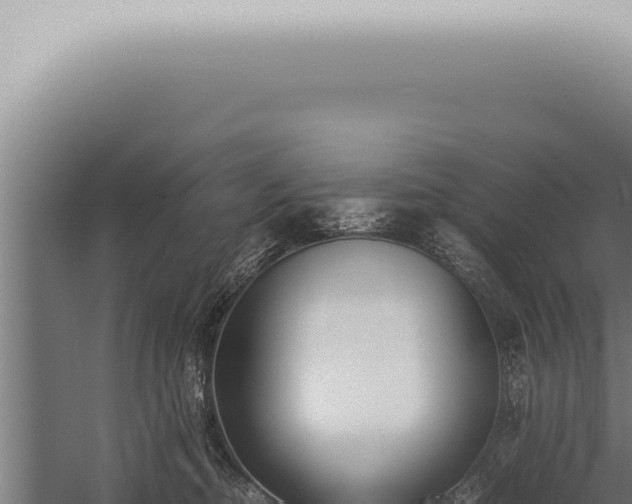 X0000059830374200510281804