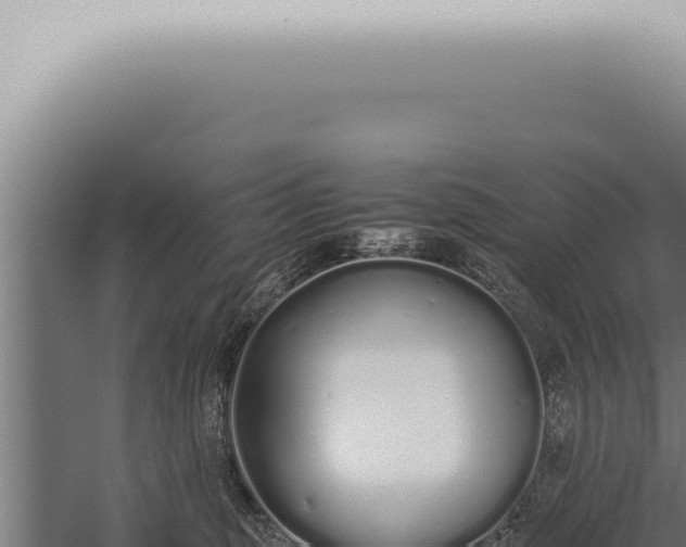 X0000059830375200510281804