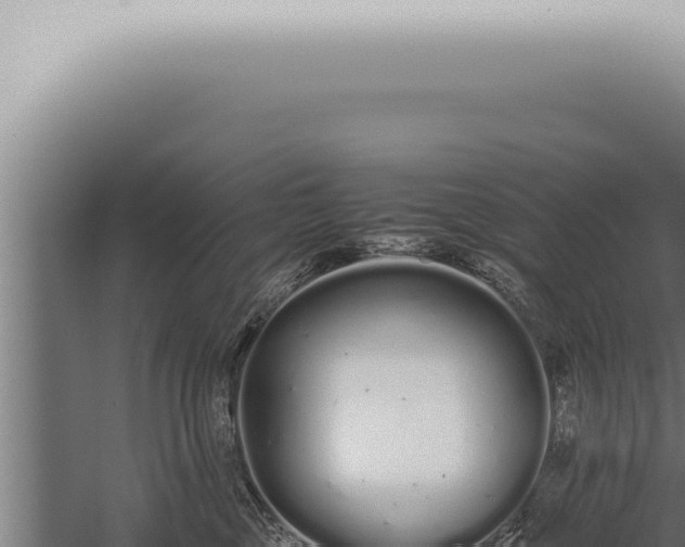 X0000059830377200510281804