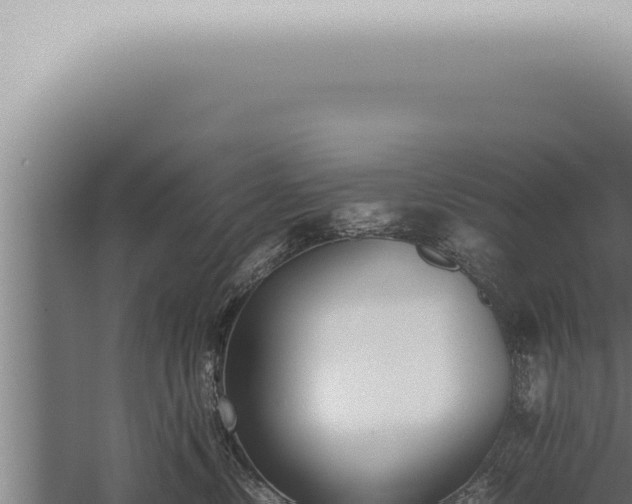 X0000059830378200510281804