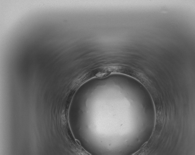 X0000059830381200510281804